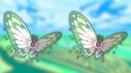 Gigantamax Butterfree and its shiny variant (Image via The Pokemon Company)